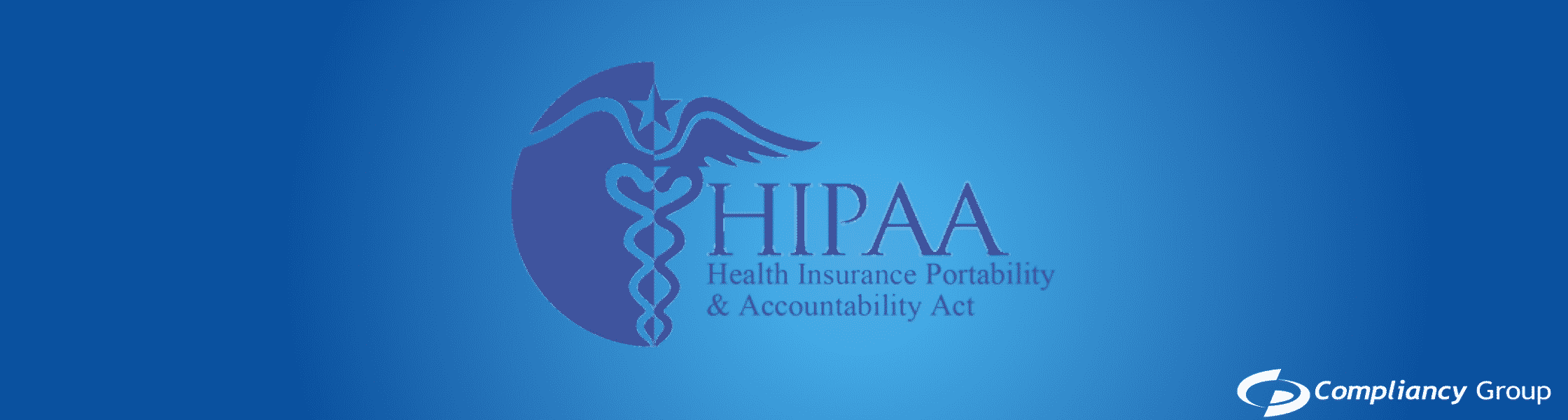 Business Associate HIPAA Guidelines