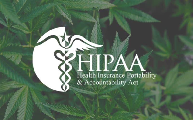 HIPAA Medical Marijuana