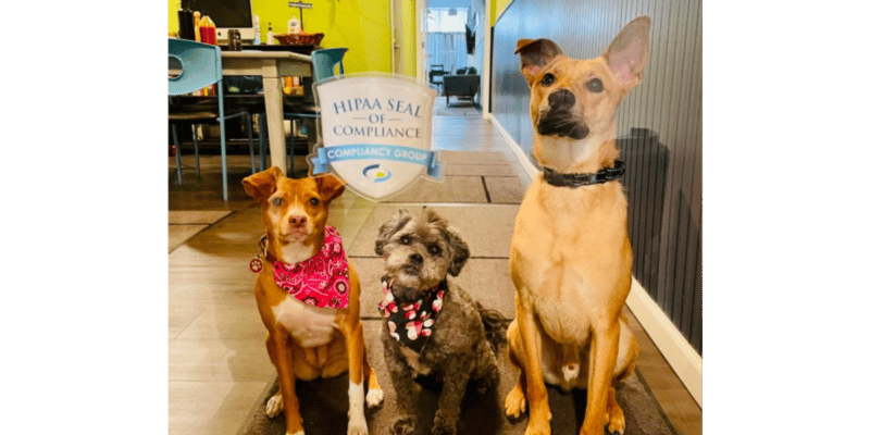 Seal of Compliance Office Dogs